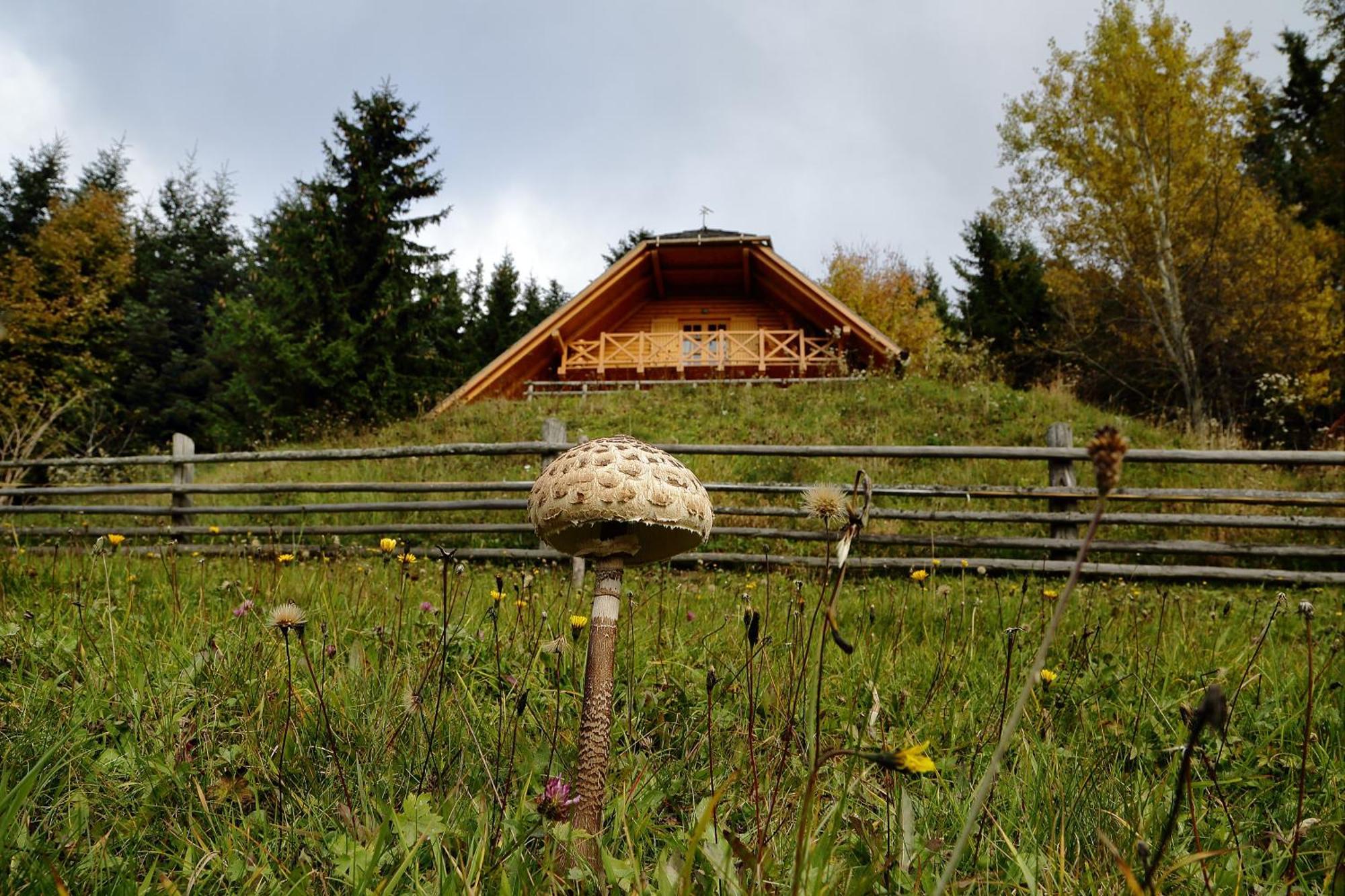 Charming Chalet Rogla Hudinja 外观 照片