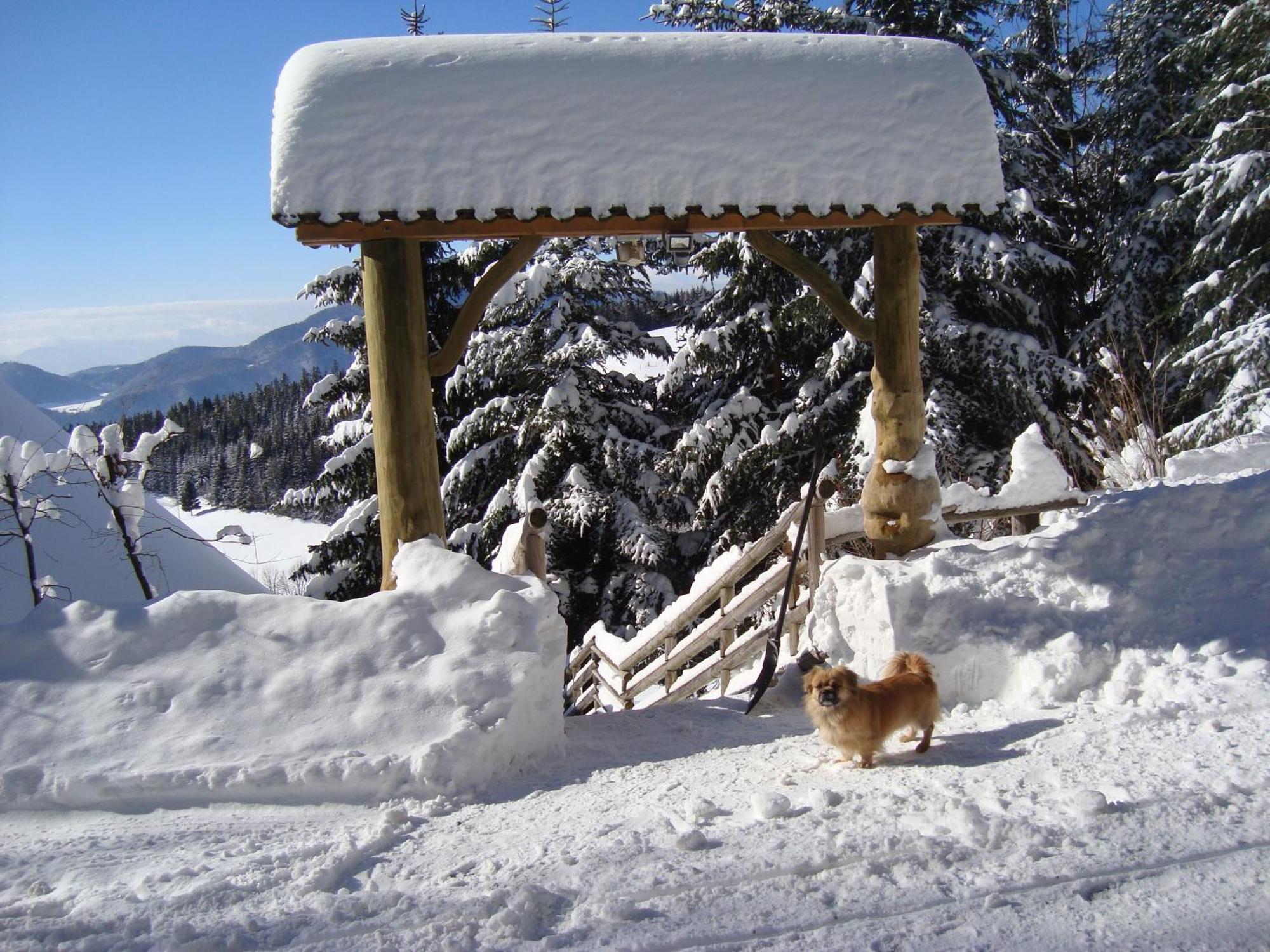 Charming Chalet Rogla Hudinja 外观 照片